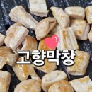 부장대로 | 막창 삼겹살 제대로 즐긴 부여 맛집 고향막창집 후기