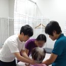 세종영상의학과의원 이미지