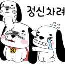 스시큐