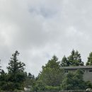 스테이 이삼공오 이미지