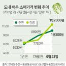 행진마트 이미지