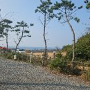 파도와노을캠핑장 이미지