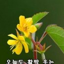 맘보 - 안양시 만안구 만안로 231 | 맘보