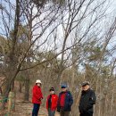 전주옥정호 이미지