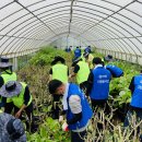 이정환농장 이미지