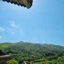 곡성-005 | 005. 구례여행_날좋은날 구례!