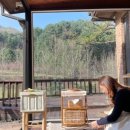 스테이율 이미지