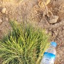 해송농장 이미지