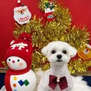 올리스 일산백석점 이미지