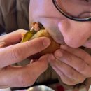김포 바베큐 맛집 블루스모크 하프플래터 후기