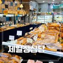 성산교회 앞 버스정류장 | 제주 동쪽 빵지순례 성산 빵집 가볼 만한 곳 제일 성심당