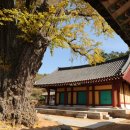 영광향교 이미지