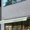 사파동124 이미지