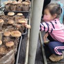 배곧새솔어린이집 이미지