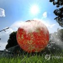 186 연합뉴스TV