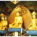 모현동-09 이미지