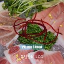 양천구 맛집 유진참치 목동 횟집 특선 오마카세 야관문주
