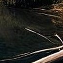 미엘르인청담의원 이미지