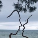 오션비치스파애견펜션 이미지