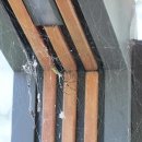 시청 앞 버스정류장 이미지