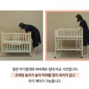 바비에르