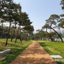 수원-1973 이미지