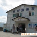 오덕태권도체육관 이미지