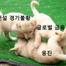 새한건설M&A 이미지