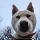 부창약국 이미지