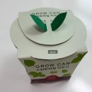 ㈜희망을심는나무 | 식목일 화분 꾸미기 키트 그로우캔 방울토마토 해바라기 스위트바질 후기