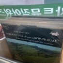 엘피도시 이미지