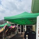 풀잎하우스 | [용인 결혼식장] 하우스 웨딩 소규모 결혼식장 '누에바 파밀리아' 하객 후기