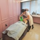 황제쑥뜸기 이미지