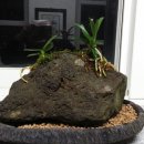 안덕중학교 이미지