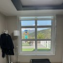 두바이애견풀빌라1 이미지