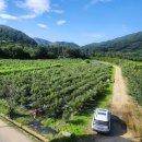 냇강마을 | 📌 7월 인제활성화사업단 정기회의&lt;in 월학1리 냇강마을&gt;