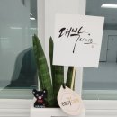 주짓수락 이미지