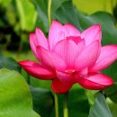 내동마을 이미지