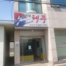 용인대 정의태권도 이미지