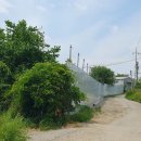 교산동 건물지 이미지