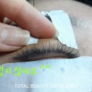 뚱슈헤나 이미지