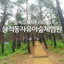 삼척동자 유아숲체험원 이미지