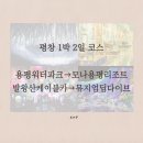 평창아름다운세상 | 강원도 평창가볼만한곳:: 모나 용평리조트 뮤지엄딥다이브 상세후기(입장료 및 할인방법, 주차, 포토존...
