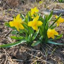 신엄안길 이미지