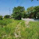 근성농장 이미지