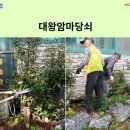 울산동구시니어클럽 대왕암마당쇠