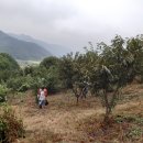 덕은농장 이미지