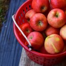 돌다리 농장 이미지