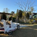 매월농장 | 맛집 | 광주 서구 감성 애견동반카페 ‘헤이블루 매월점’ 후기