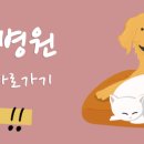 사랑으로 동물병원 이미지